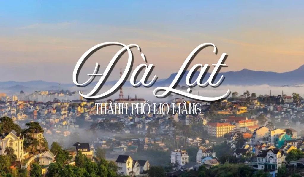 Đà Lạt 24h: Bí Kíp "Oanh Tạc" Phố Núi Dành Cho Kẻ Mộng Mơ