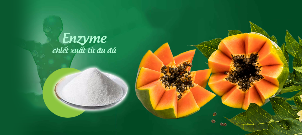 6 lý do nên ăn đu đủ chín vào bữa sáng để khỏe mạnh mỗi ngày